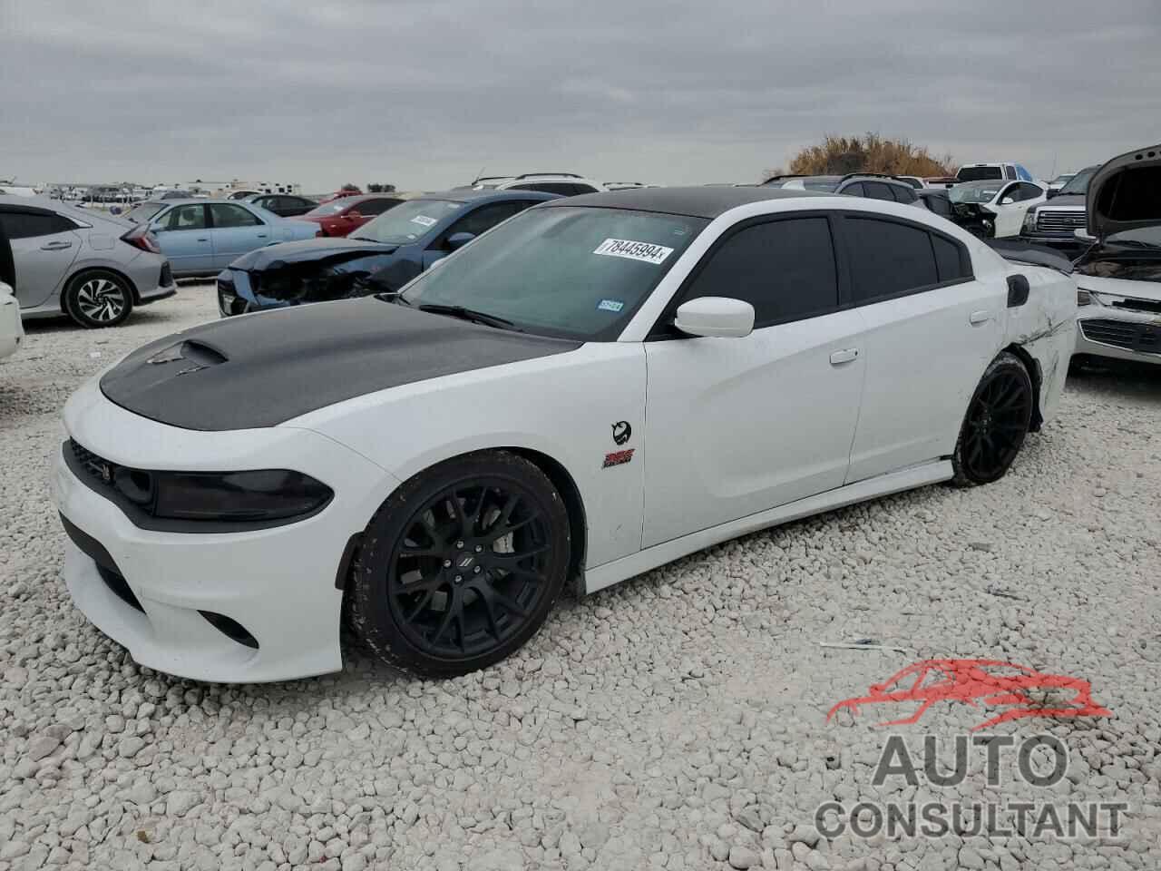 DODGE CHARGER 2019 - 2C3CDXGJXKH726234