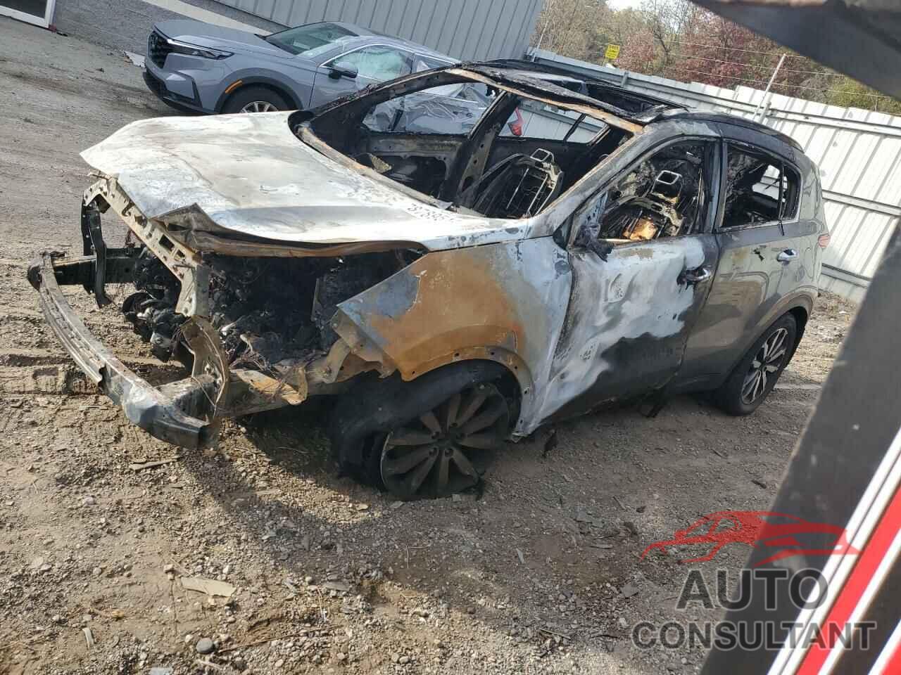 KIA SPORTAGE 2017 - KNDPNCAC0H7059451