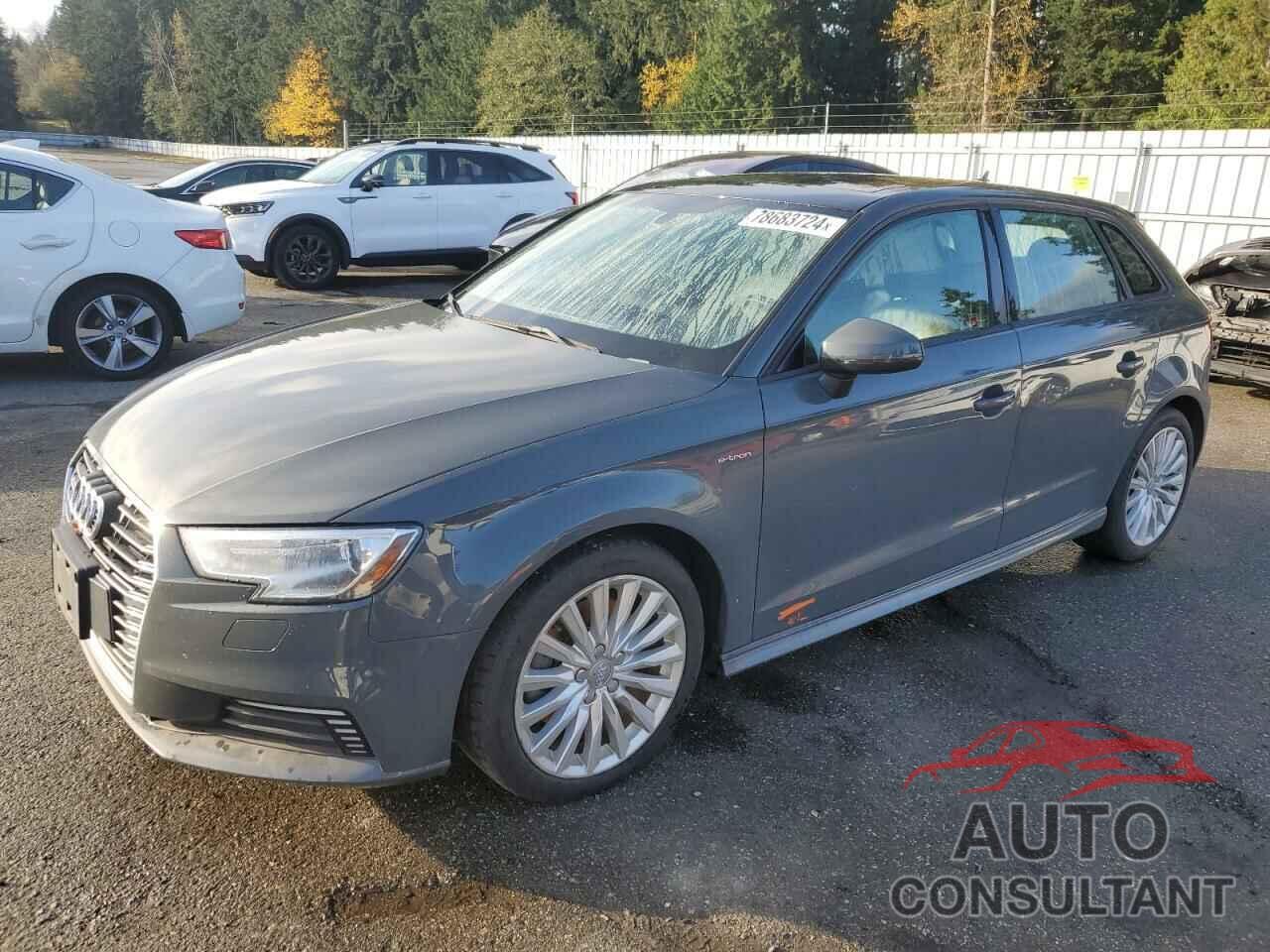 AUDI A3 2017 - WAUUPBFF0HA079113