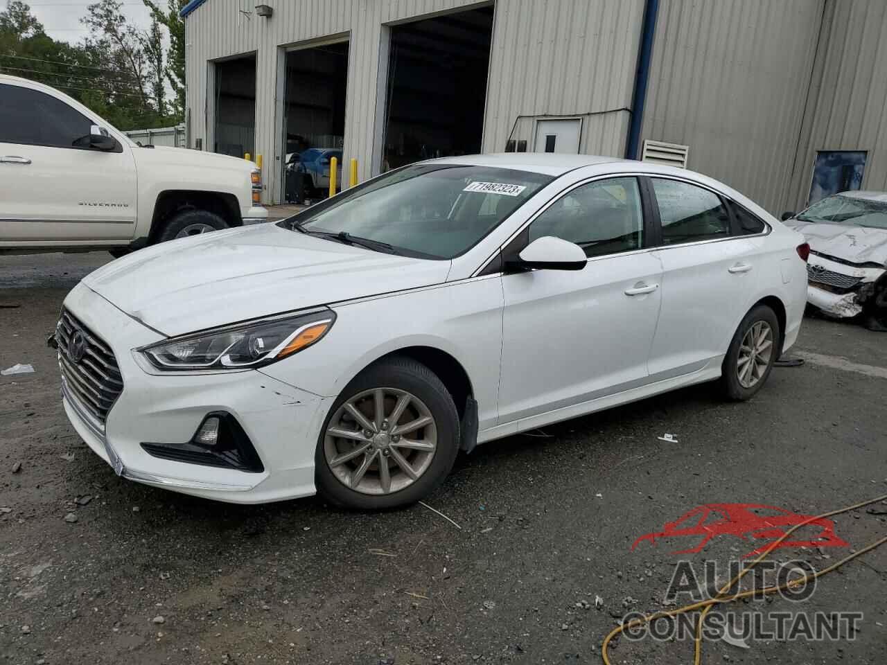 HYUNDAI SONATA 2019 - 5NPE24AF1KH764553