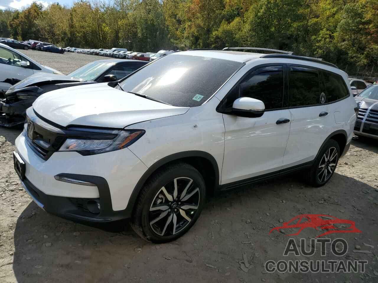 HONDA PILOT 2022 - 5FNYF6H67NB091208