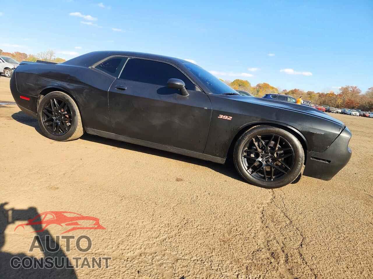 DODGE CHALLENGER 2017 - 2C3CDZFJ4HH594786