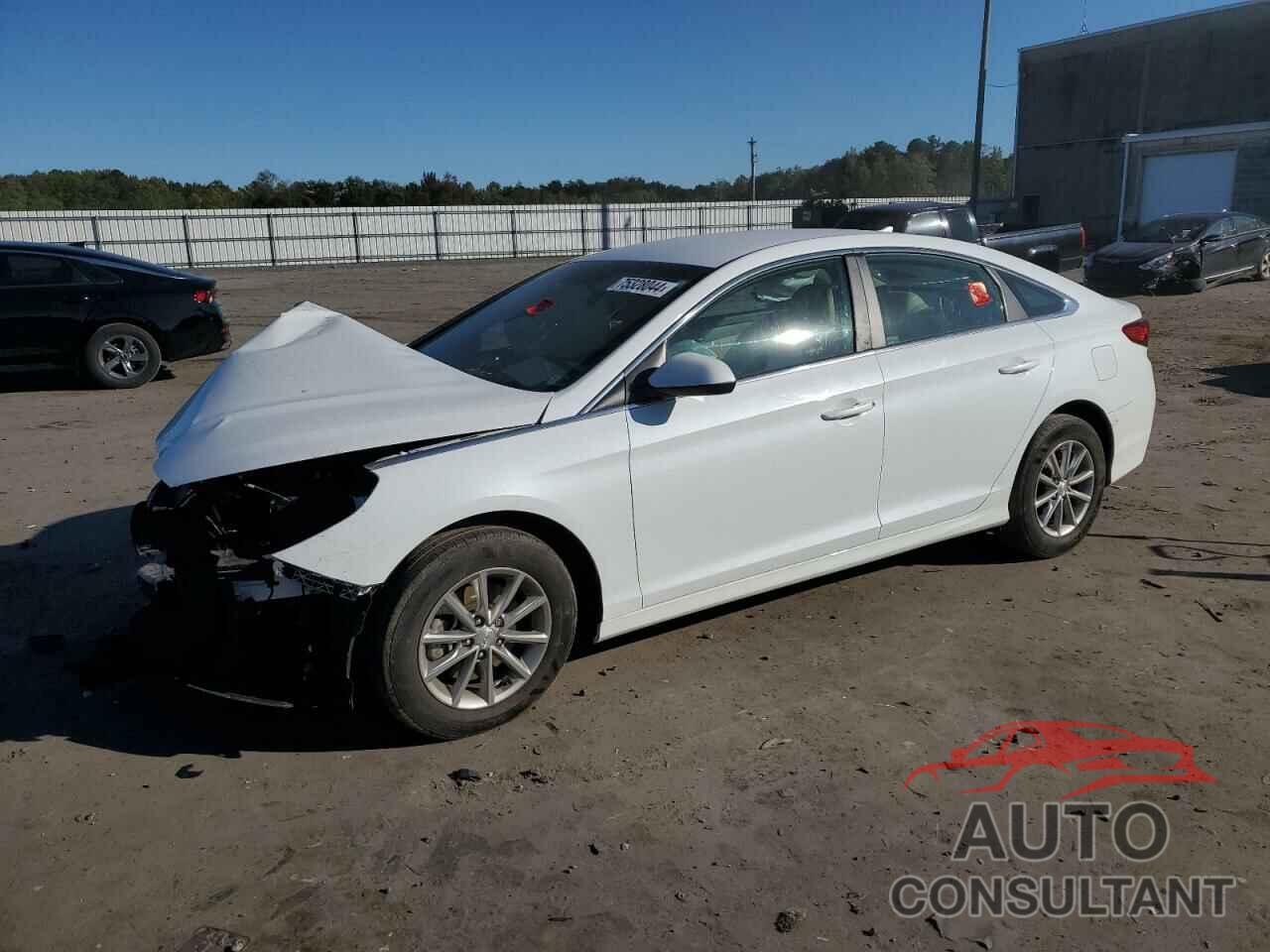 HYUNDAI SONATA 2019 - 5NPE24AF1KH762706