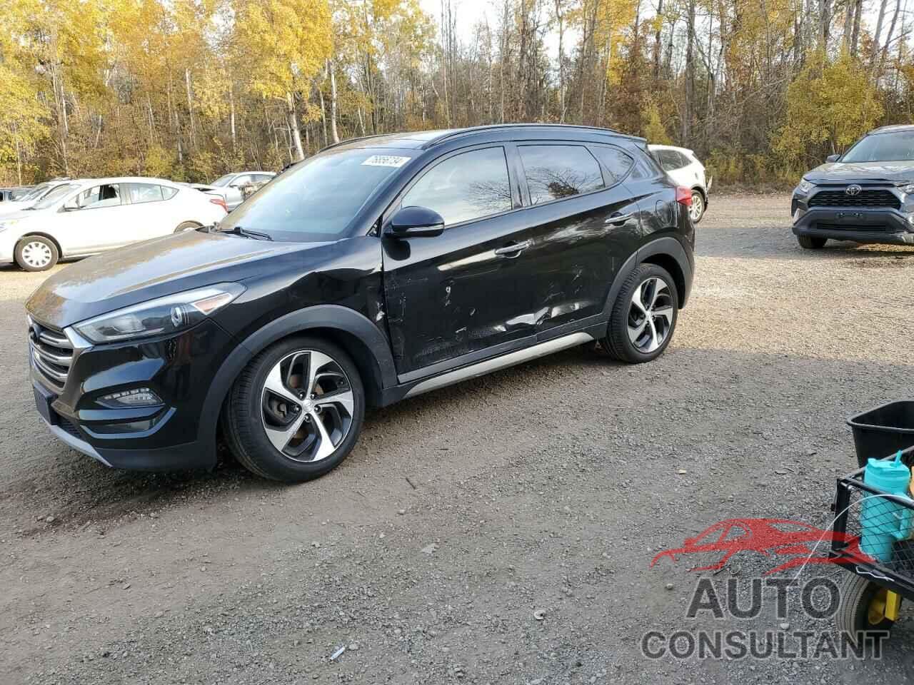 HYUNDAI TUCSON 2017 - KM8J3CA21HU288589