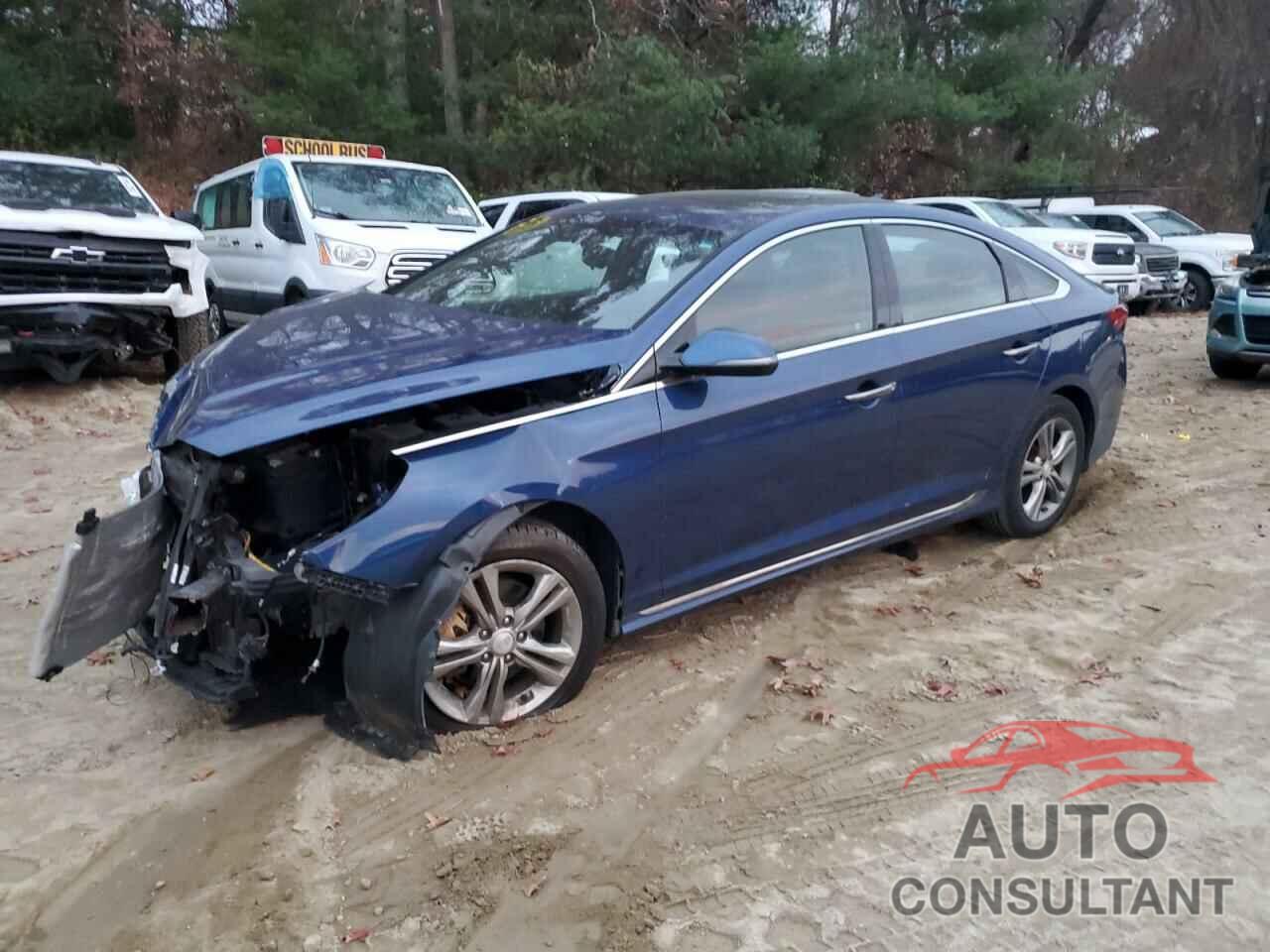 HYUNDAI SONATA 2019 - 5NPE34AF7KH741971