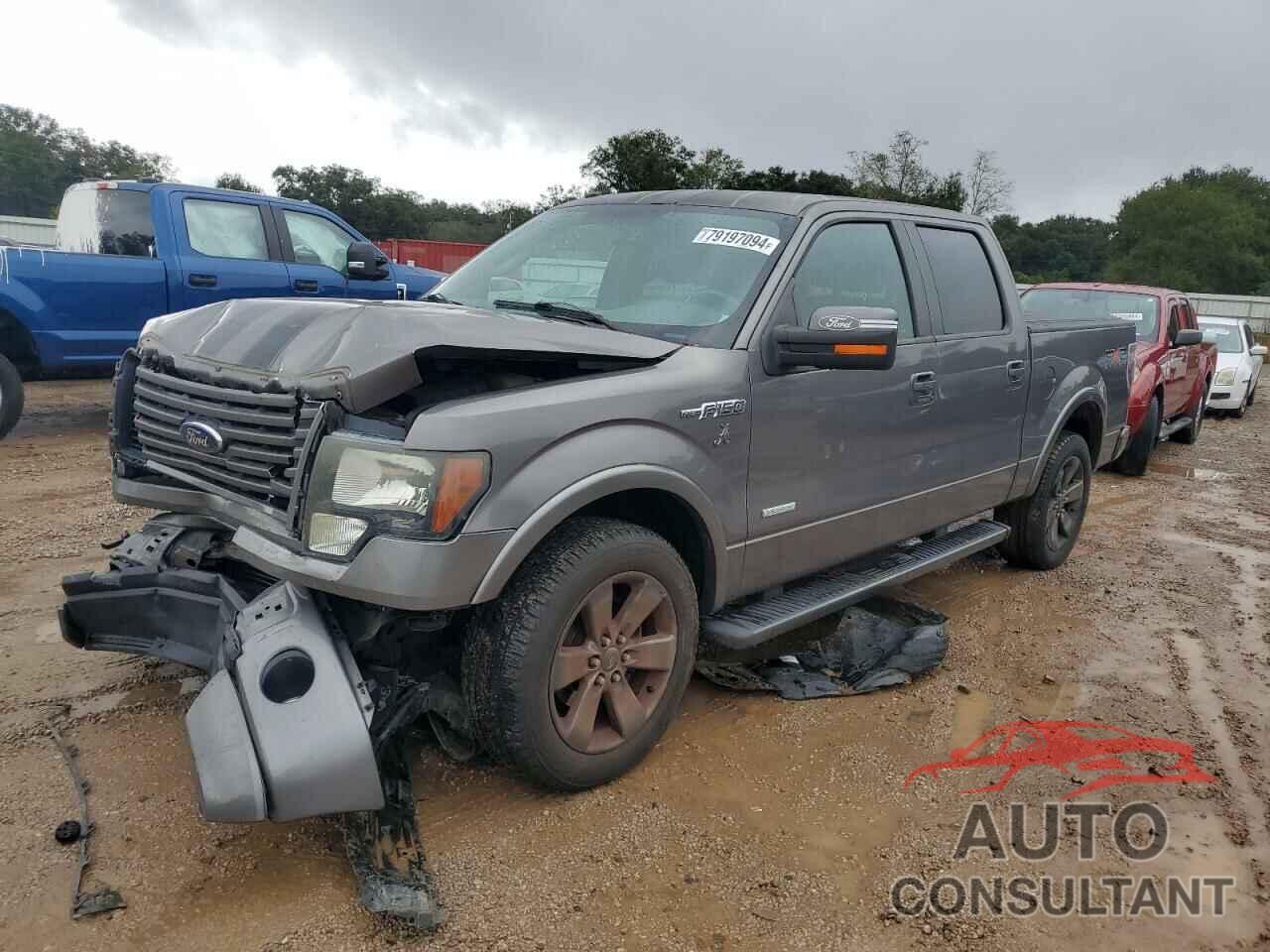 FORD F-150 2011 - 1FTFW1CT4BKE15530