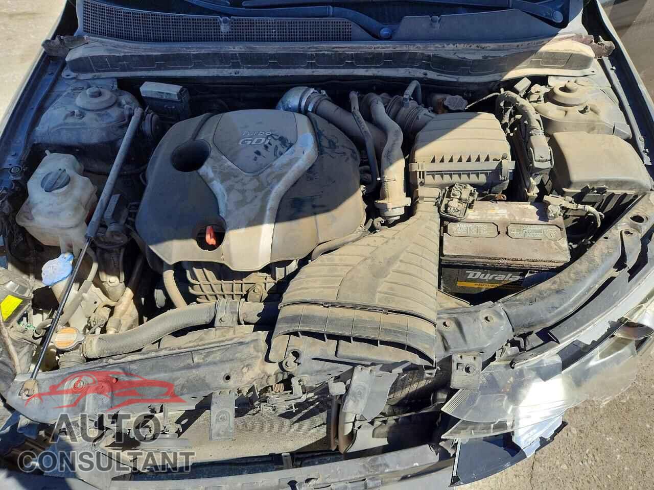KIA OPTIMA 2011 - KNAGR4A61B5135943