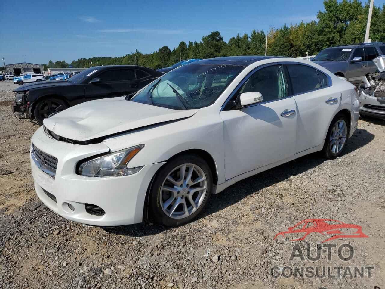 NISSAN MAXIMA 2011 - 1N4AA5AP7BC841296