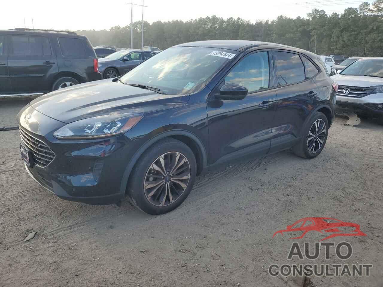 FORD ESCAPE 2021 - 1FMCU0G68MUB00935