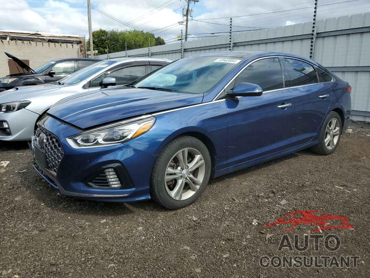 HYUNDAI SONATA 2019 - 5NPE34AF6KH759846