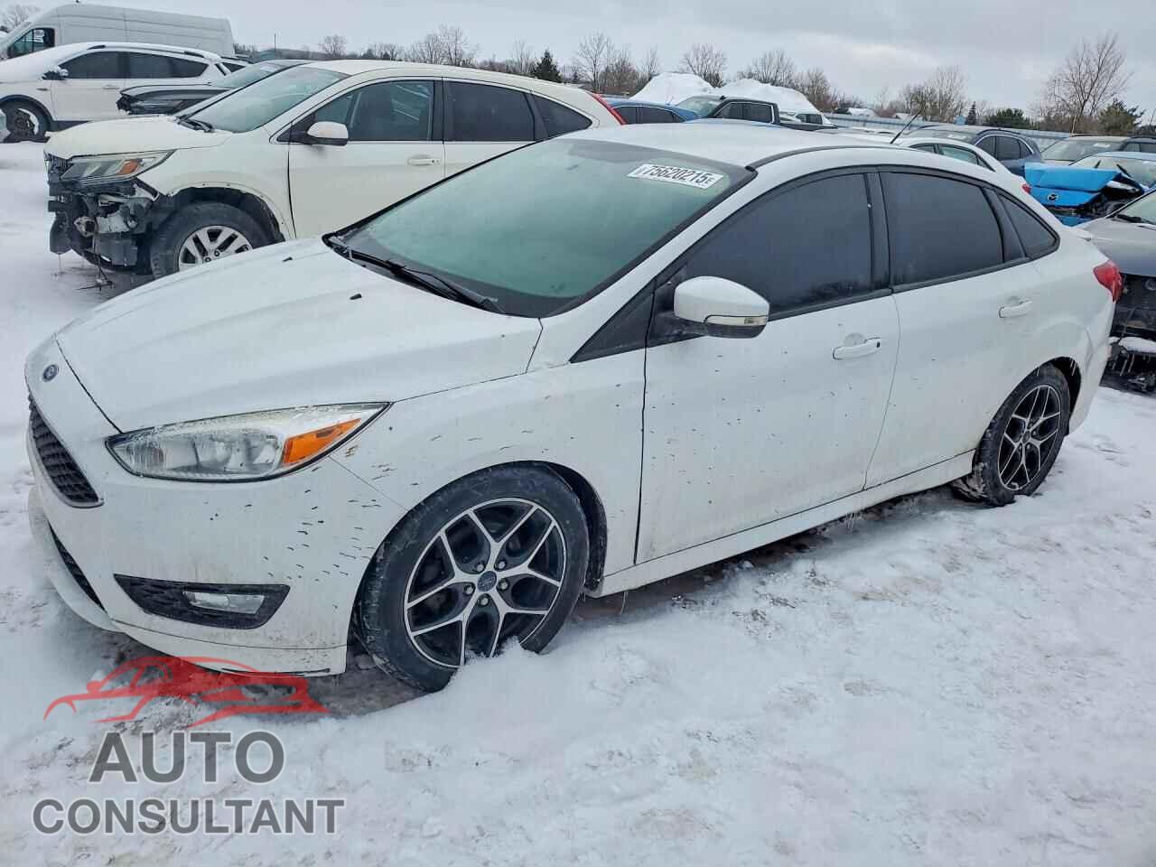 FORD FOCUS 2016 - 1FADP3F27GL272969