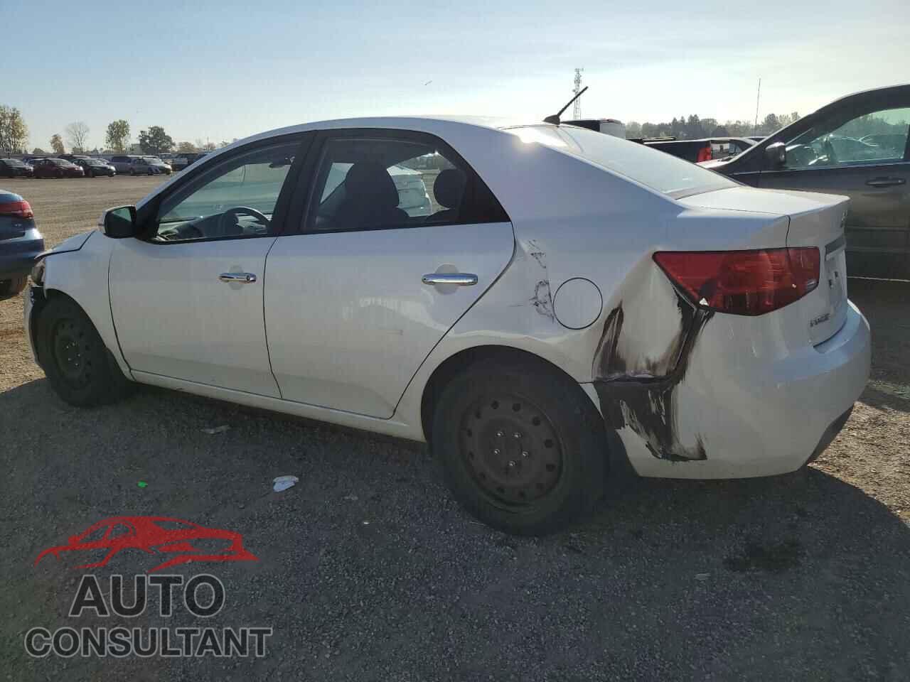 KIA FORTE 2012 - KNAFU4A25C5636701