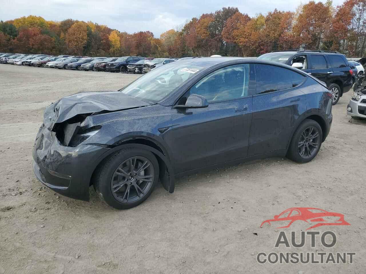 TESLA MODEL Y 2024 - 7SAYGDEE5RA323291