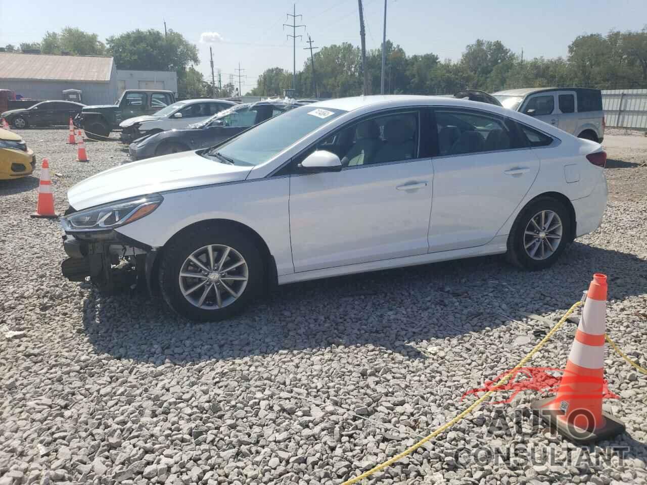 HYUNDAI SONATA 2018 - 5NPE24AF2JH708779