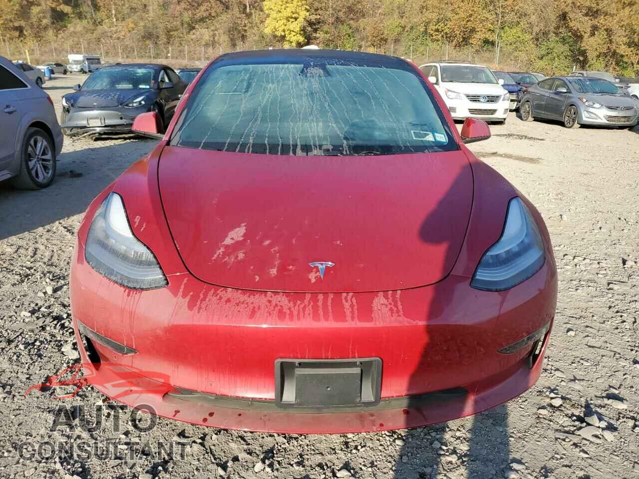 TESLA MODEL 3 2019 - 5YJ3E1EA7KF394848