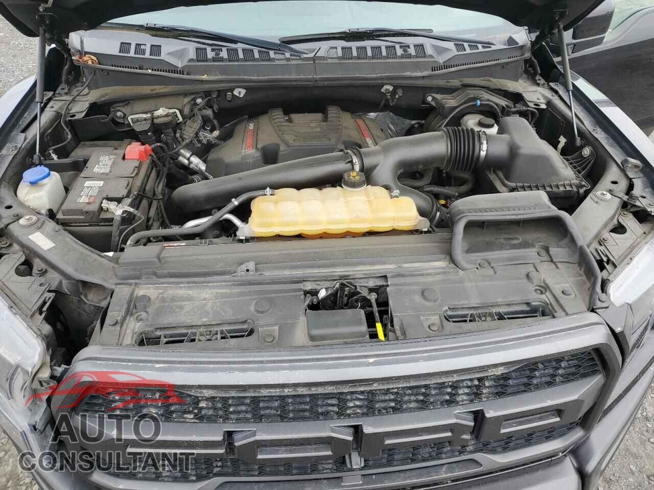 FORD F150 2019 - 1FTFW1RG6KFA63473