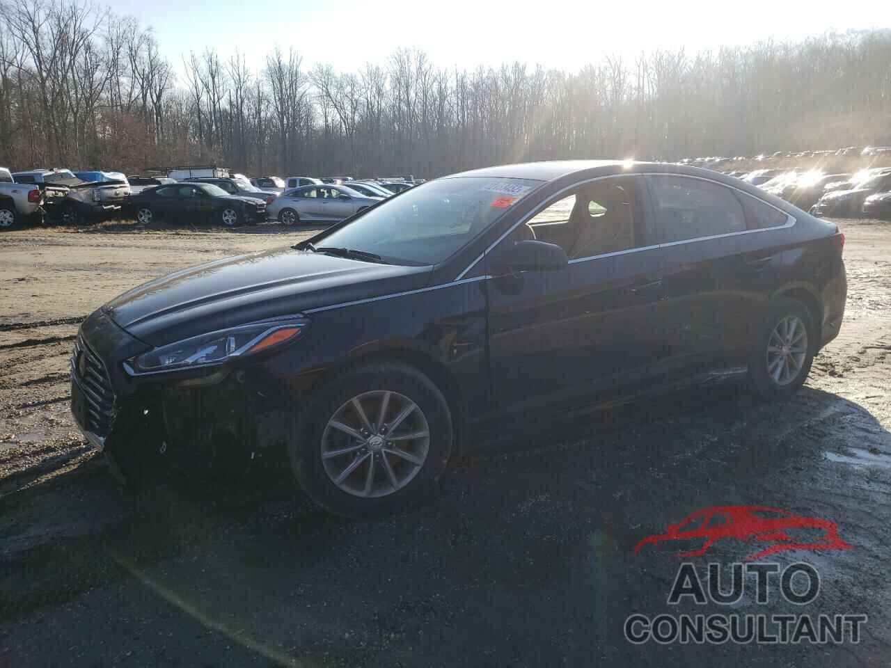 HYUNDAI SONATA 2018 - 5NPE24AF7JH663838