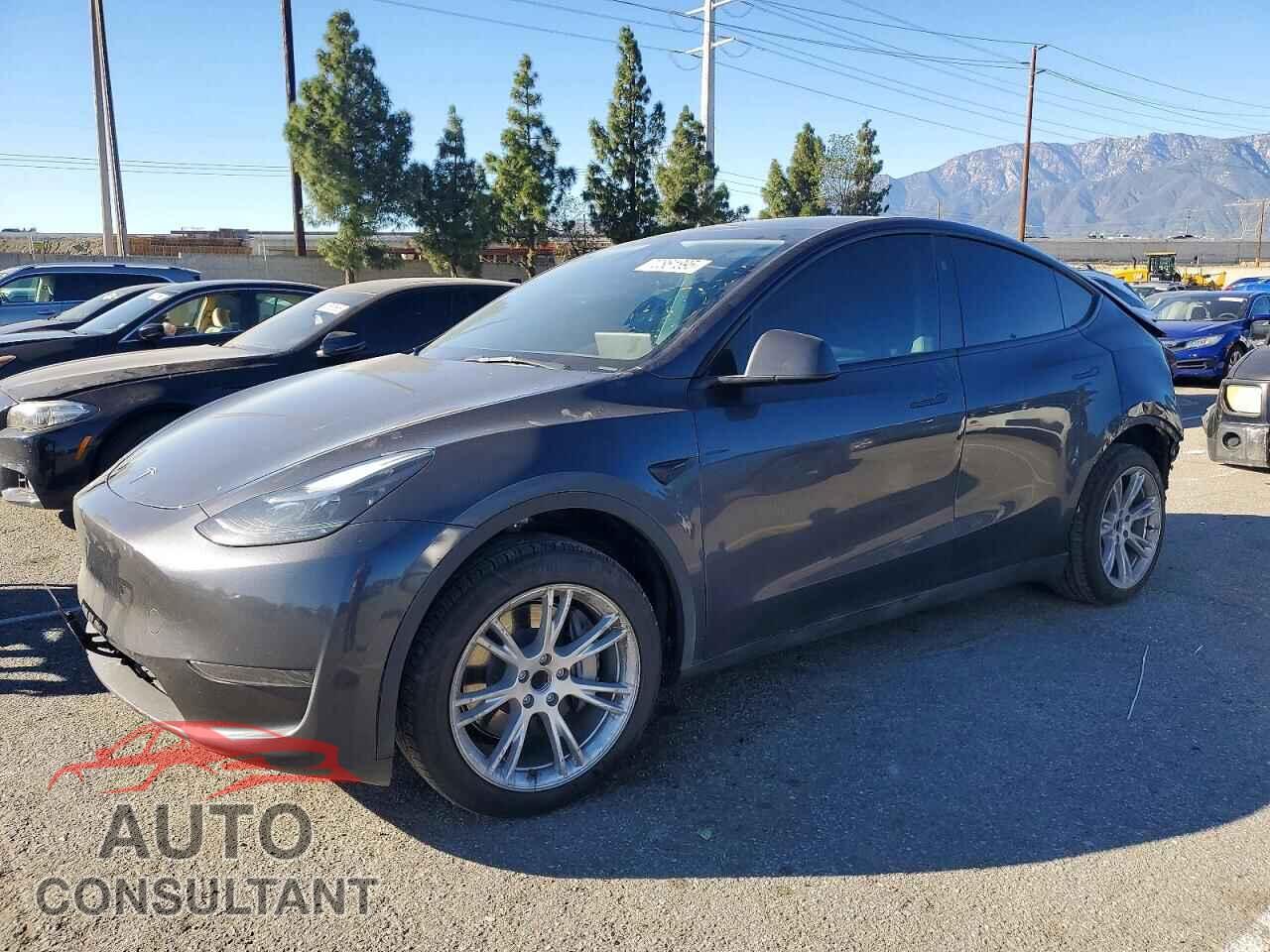 TESLA MODEL Y 2024 - 7SAYGDED8RF009578