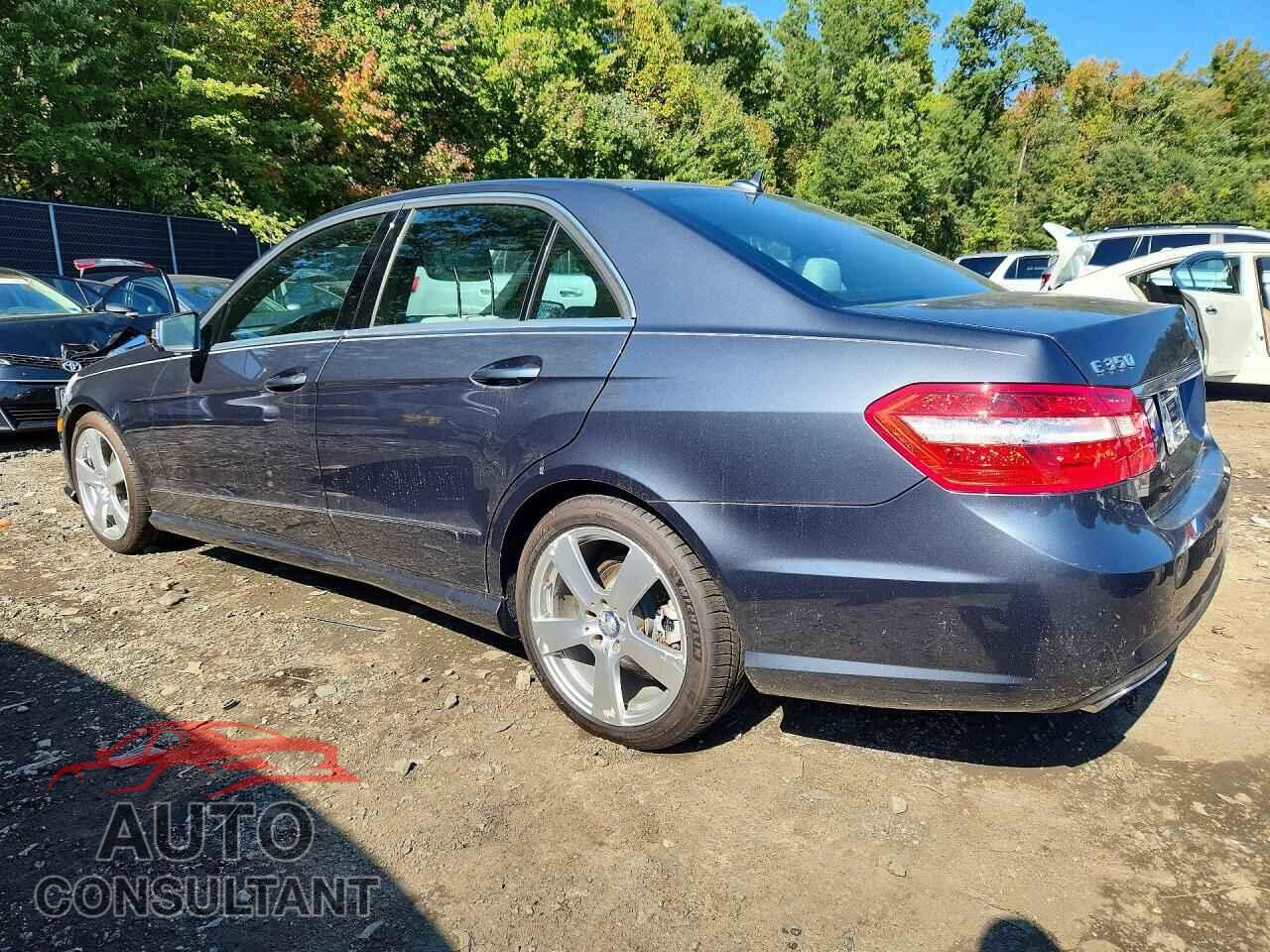 MERCEDES-BENZ E-CLASS 2010 - WDDHF8HB5AA059410