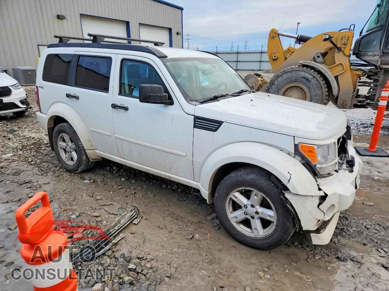 DODGE NITRO 2010 - 1D4PU5GK8AW134800