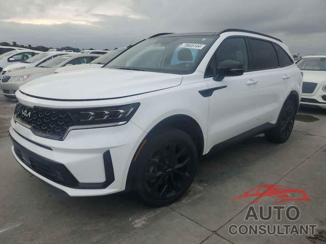 KIA SORENTO 2023 - 5XYRK4LF4PG166776