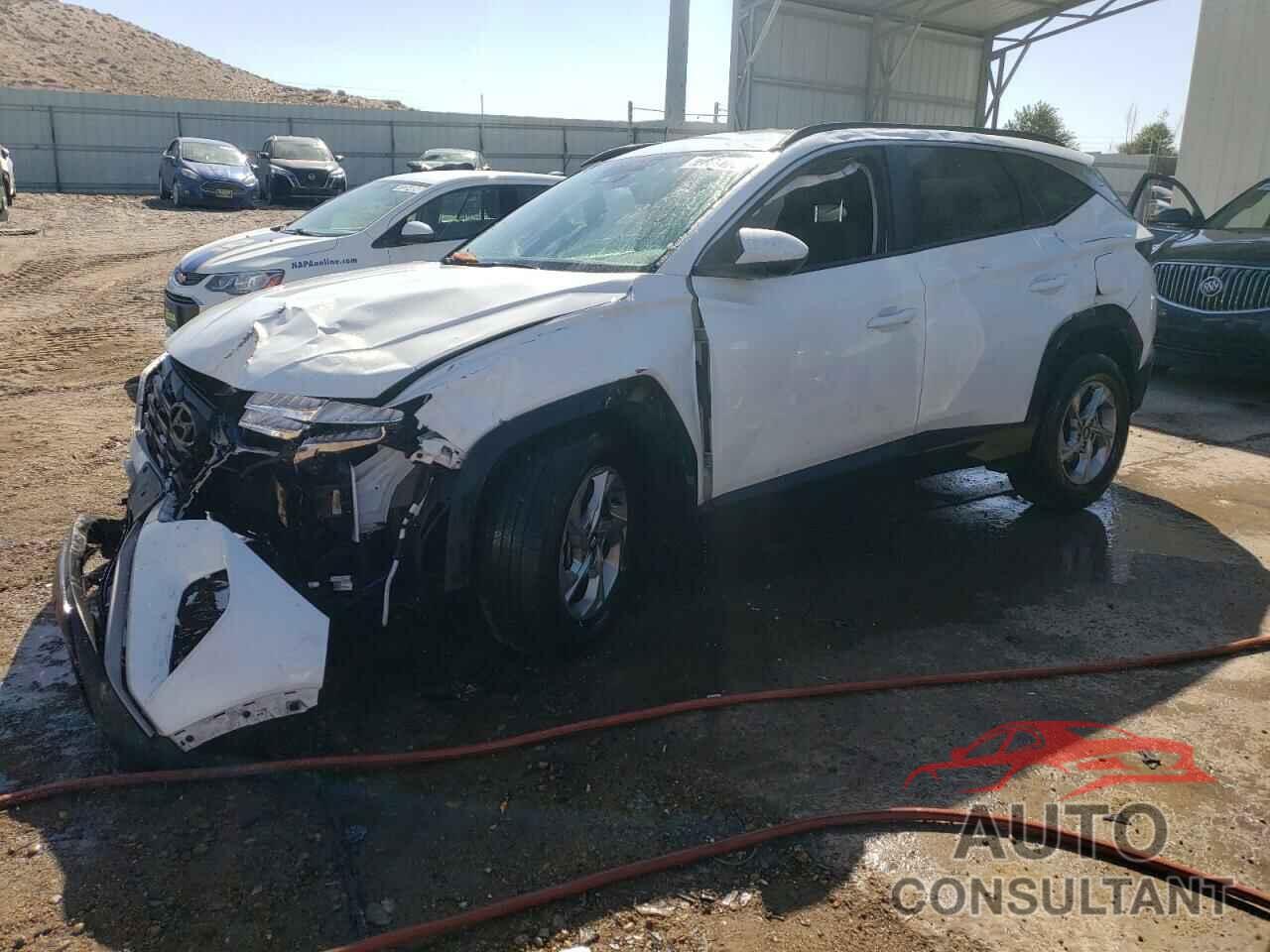 HYUNDAI TUCSON 2024 - 5NMJBCDE6RH383431