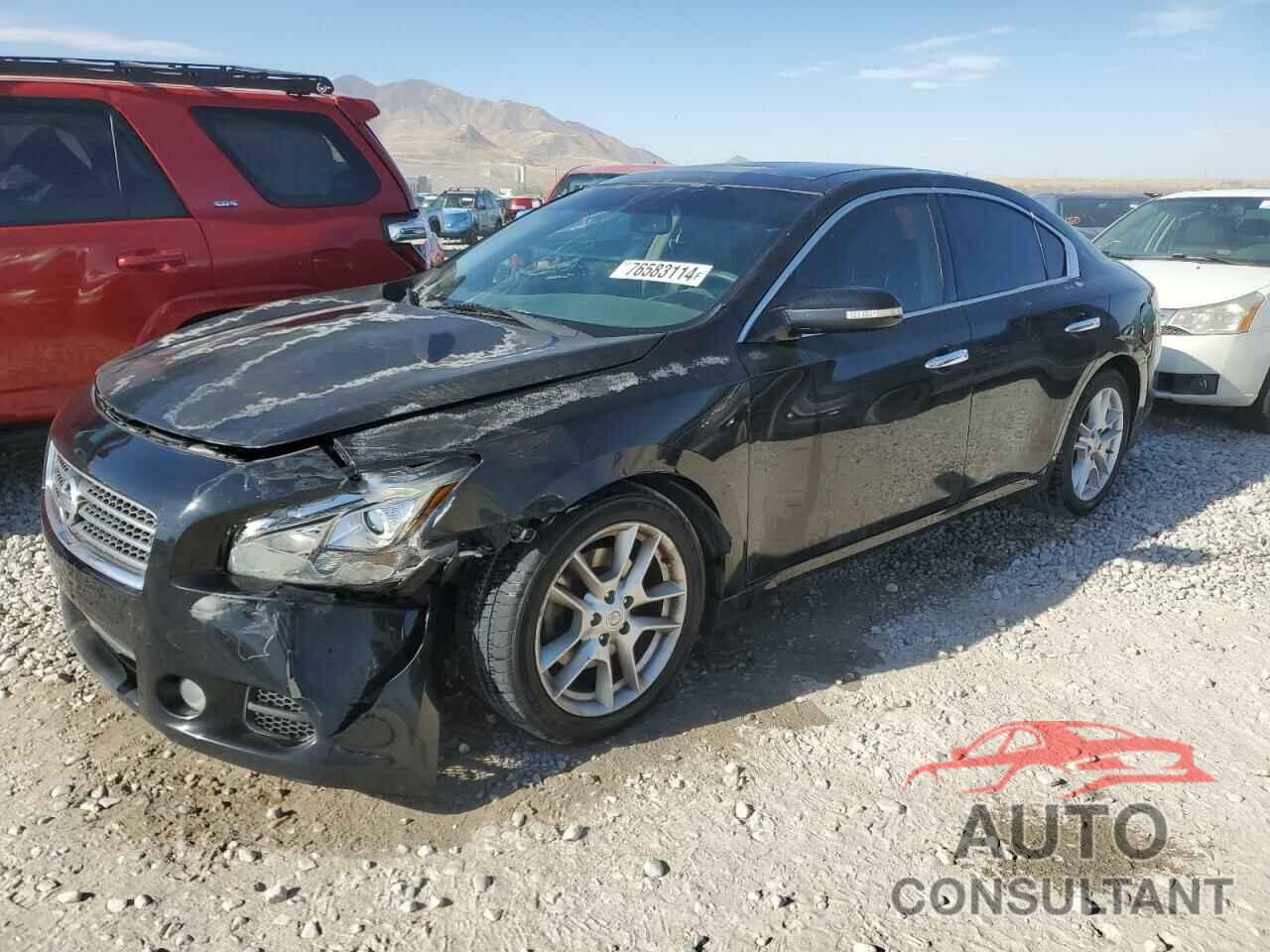 NISSAN MAXIMA 2009 - 1N4AA51E99C847352