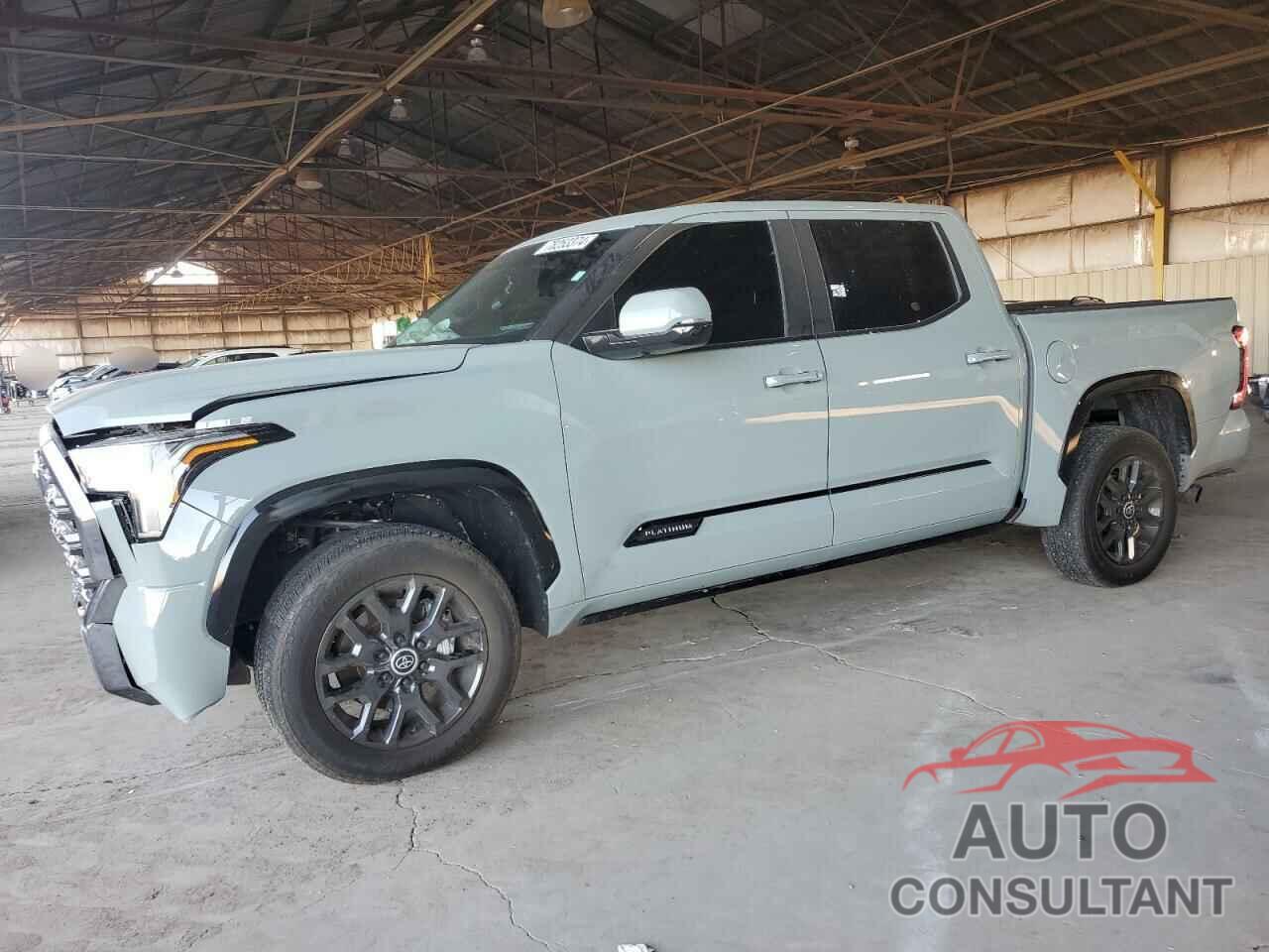 TOYOTA TUNDRA 2024 - 5TFNA5DB1RX195056
