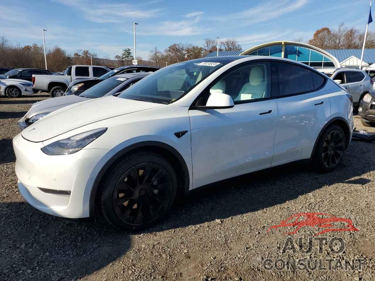 TESLA MODEL Y 2021 - 5YJYGAEE1MF144429