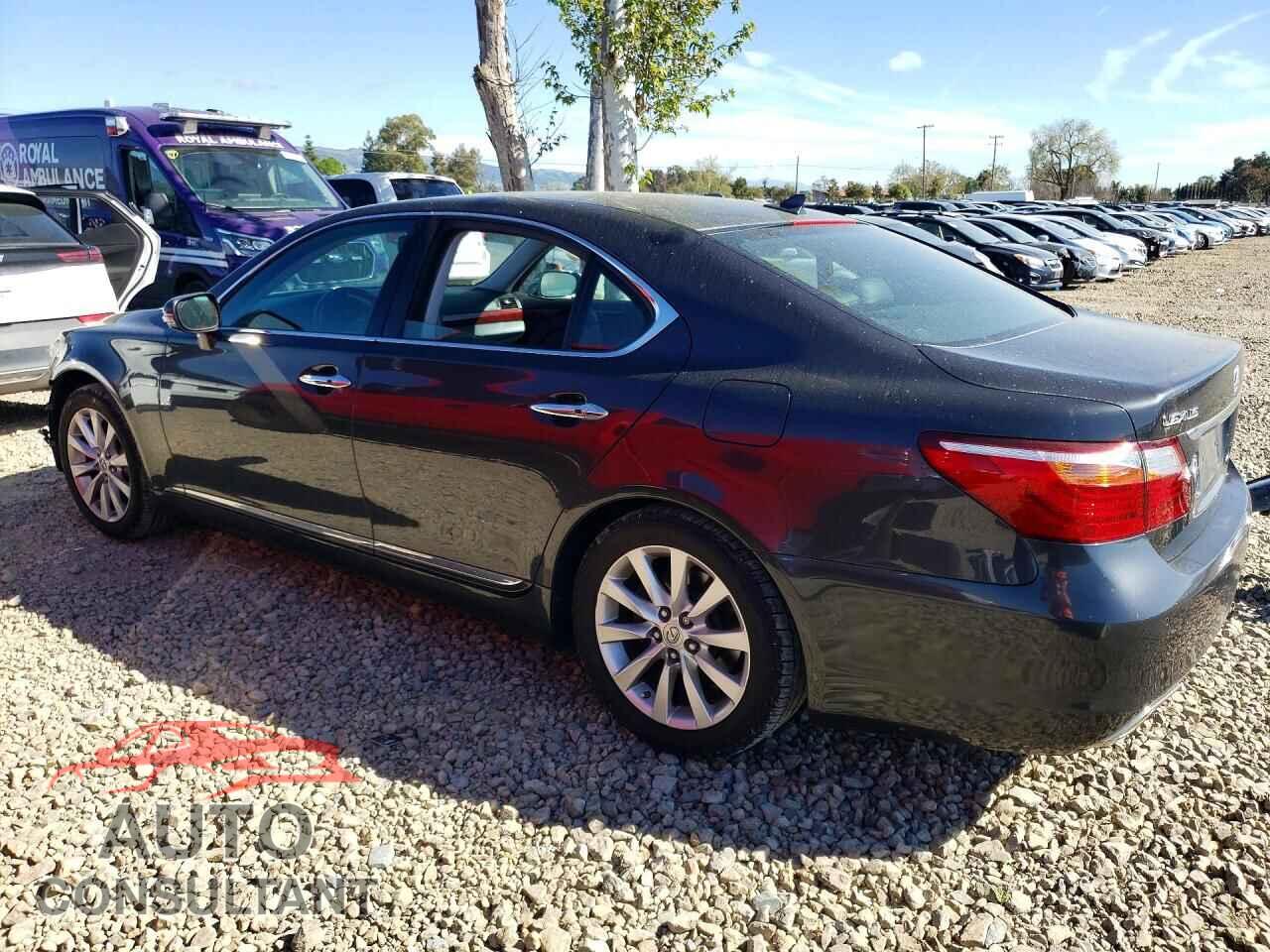 LEXUS LS 460 2010 - JTHBL5EF3A5100655