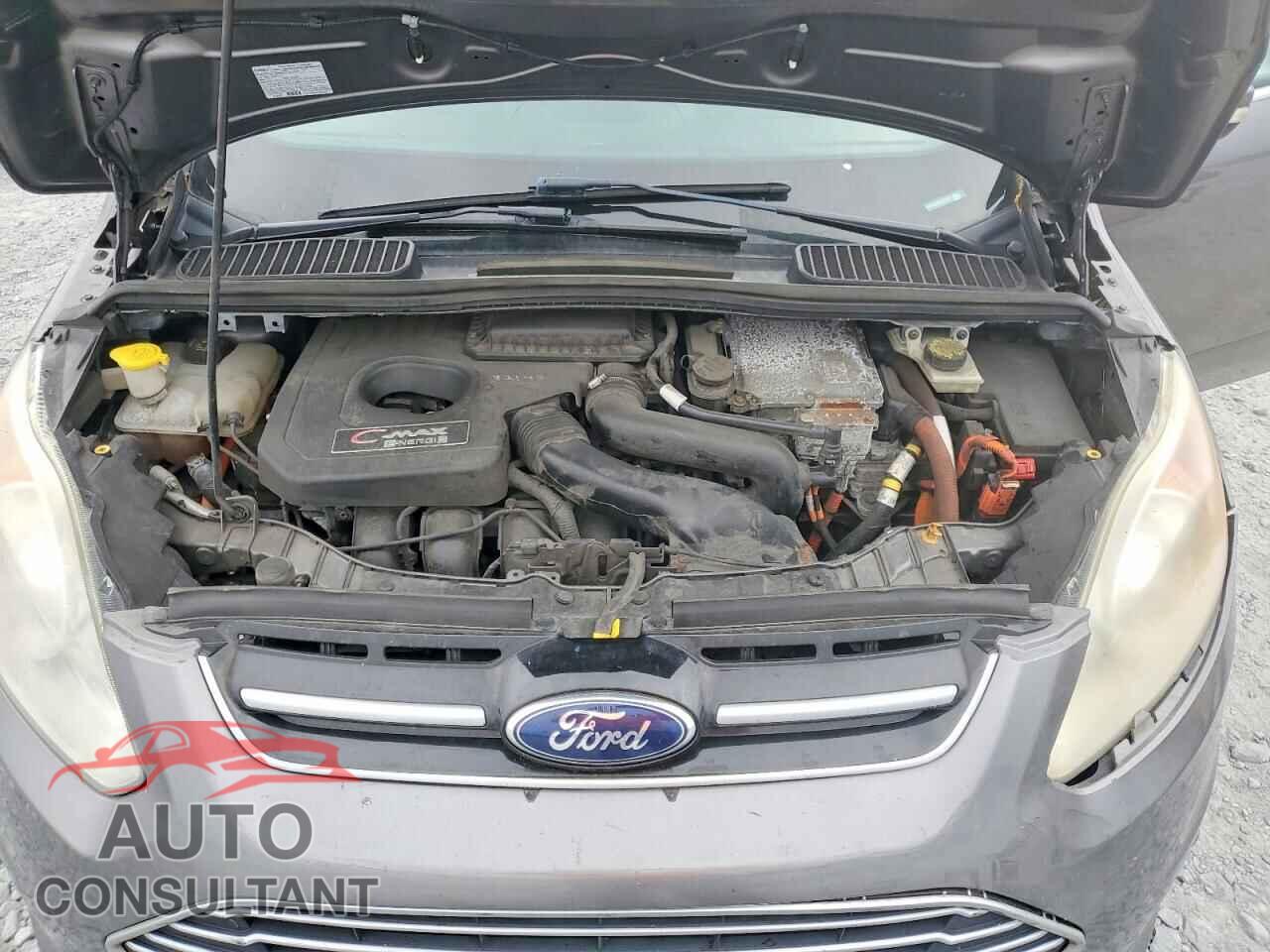 FORD C-MAX 2014 - 1FADP5CU3EL516583