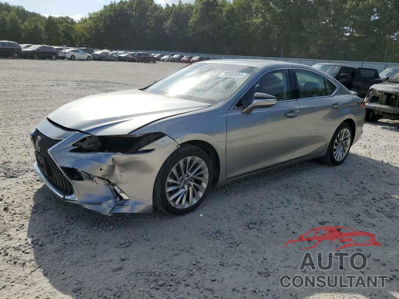 LEXUS ES300 2019 - JTHB21B1XK2036430