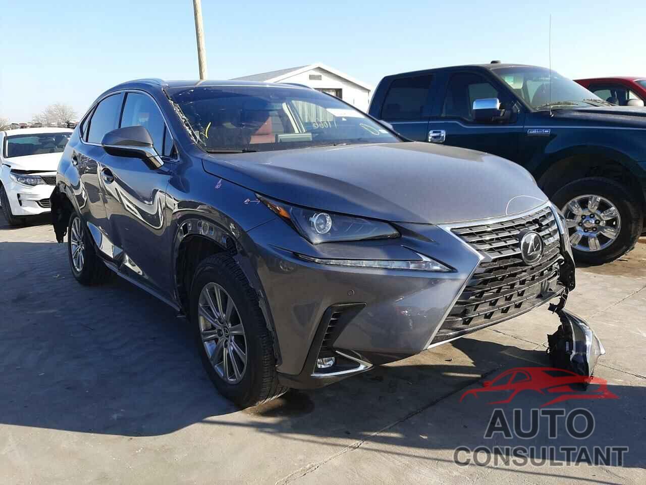 LEXUS NX 2019 - JTJYARBZ1K2135931