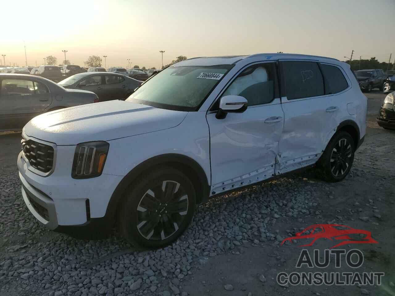 KIA TELLURIDE 2024 - 5XYP5DGC4RG507868