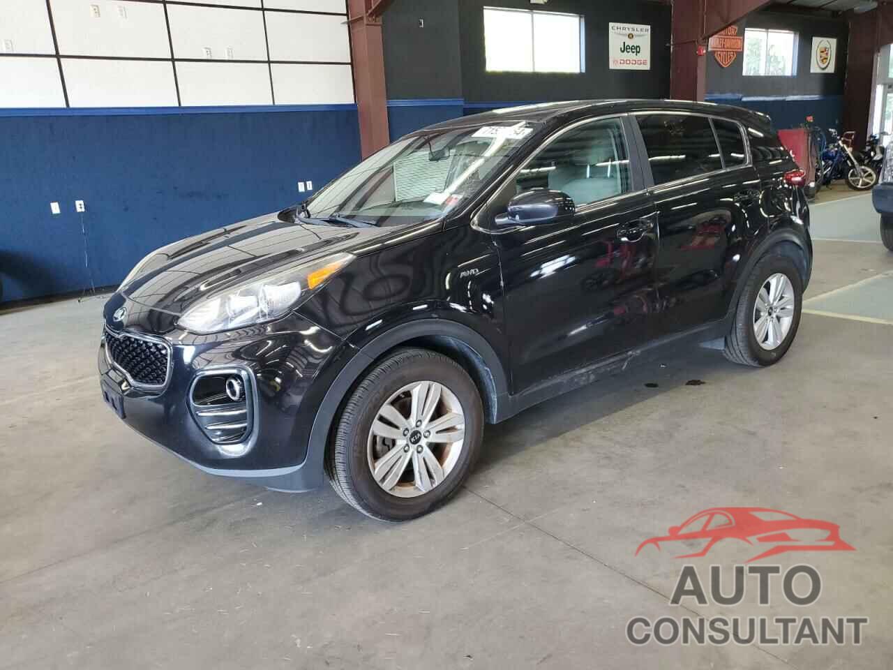 KIA SPORTAGE 2017 - KNDPMCACXH7114801