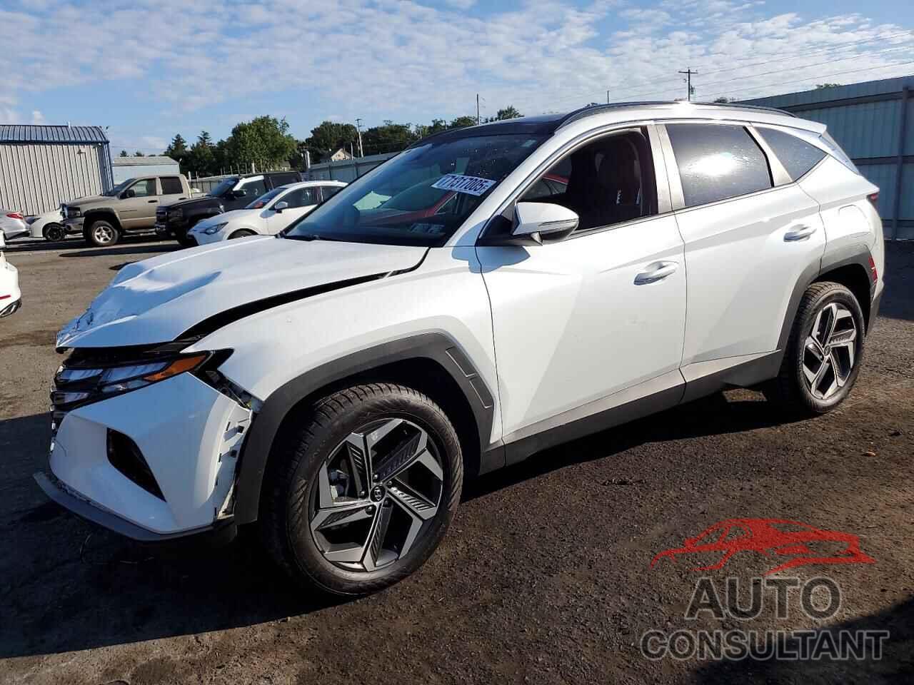 HYUNDAI TUCSON 2024 - KM8JCCD11RU184284