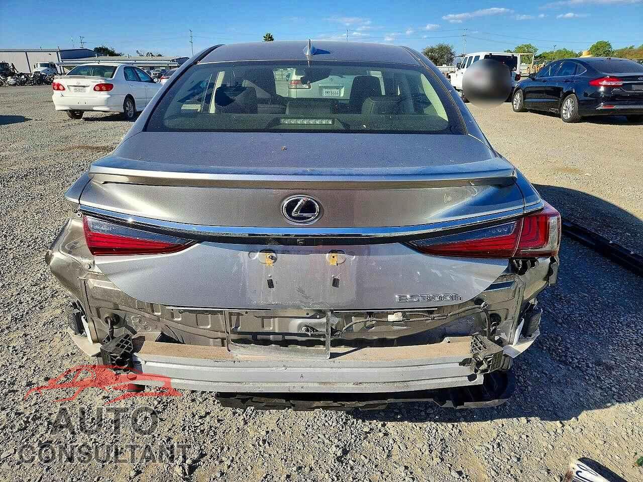 LEXUS ES300 2019 - JTHB21B19K2034751