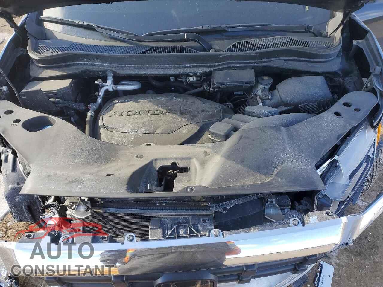 HONDA RIDGELINE 2024 - 5FPYK3F58RB004045