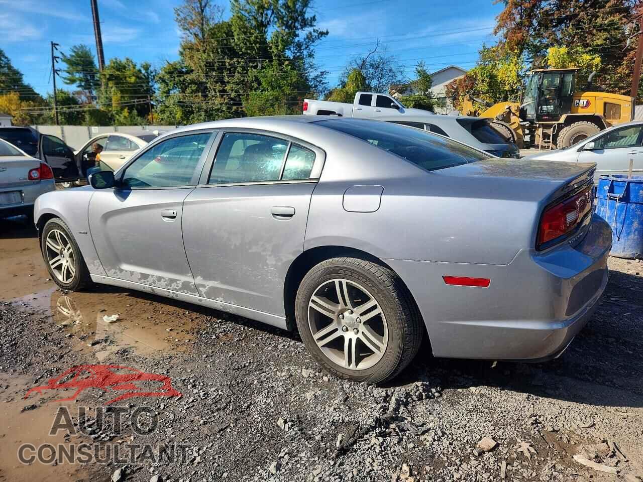 DODGE CHARGER 2014 - 2C3CDXCTXEH353577