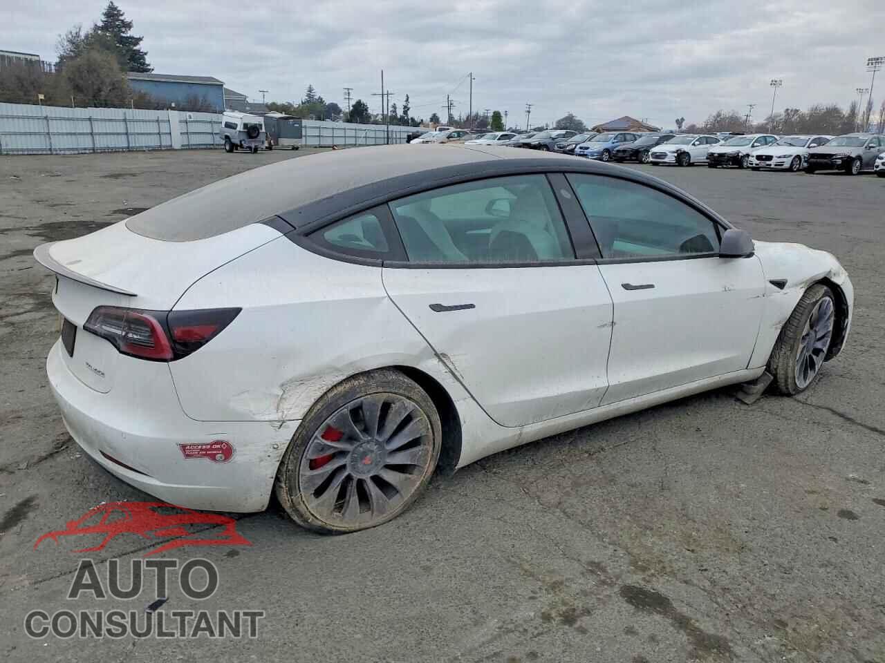 TESLA MODEL 3 2021 - 5YJ3E1EC8MF074362