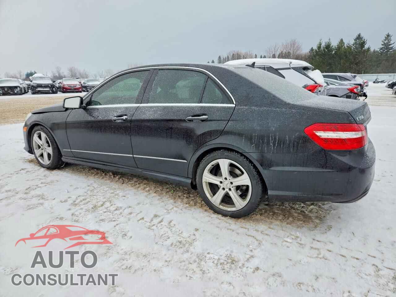 MERCEDES-BENZ E-CLASS 2010 - WDDHF8HB8AA125772