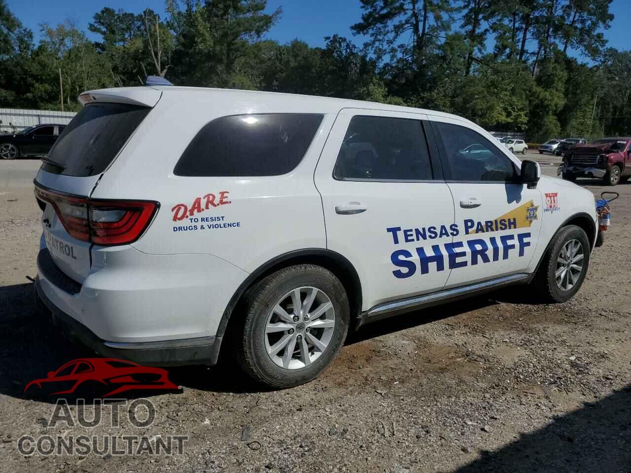 DODGE DURANGO 2020 - 1C4SDJFT1LC166552