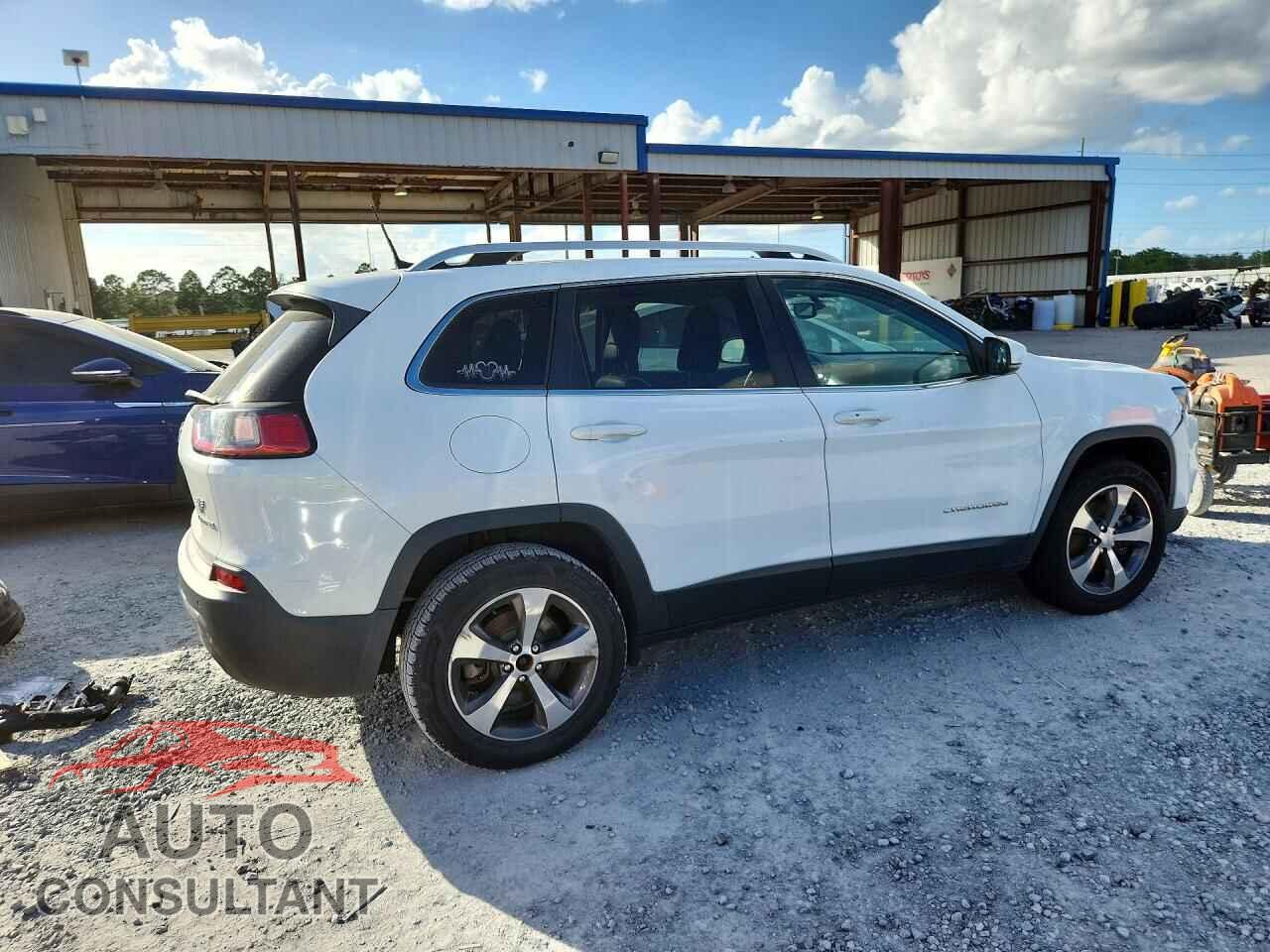 JEEP CHEROKEE 2019 - 1C4PJMDN8KD123789