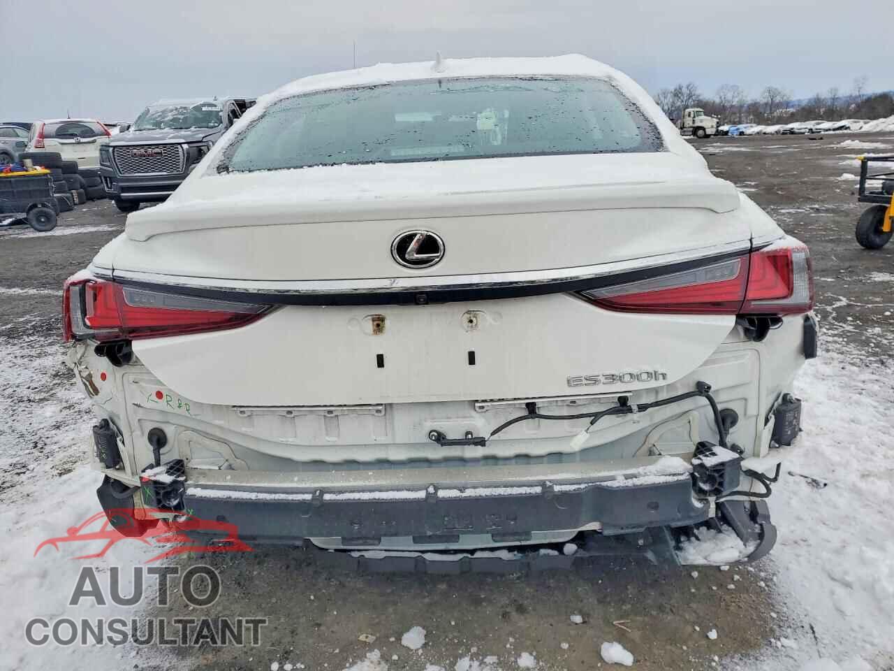 LEXUS ES300 2024 - 58ADA1C10RU040176