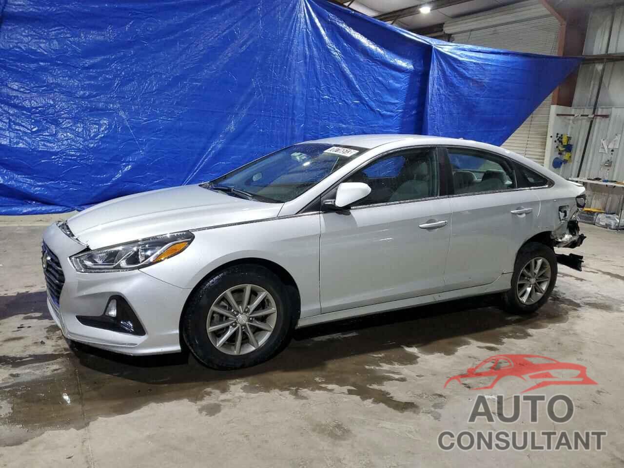 HYUNDAI SONATA 2019 - 5NPE24AF1KH788335