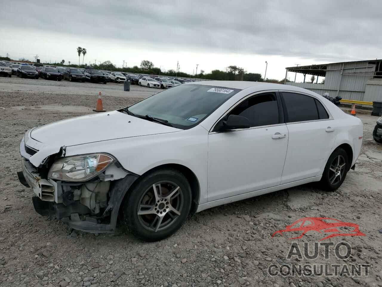 CHEVROLET MALIBU 2012 - 1G1ZA5EU8CF238525