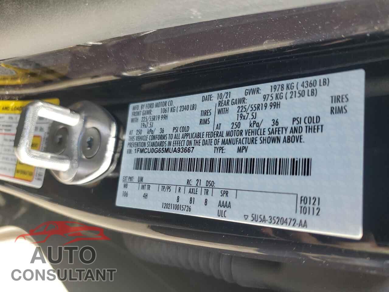 FORD ESCAPE 2021 - 1FMCU0G65MUA93667