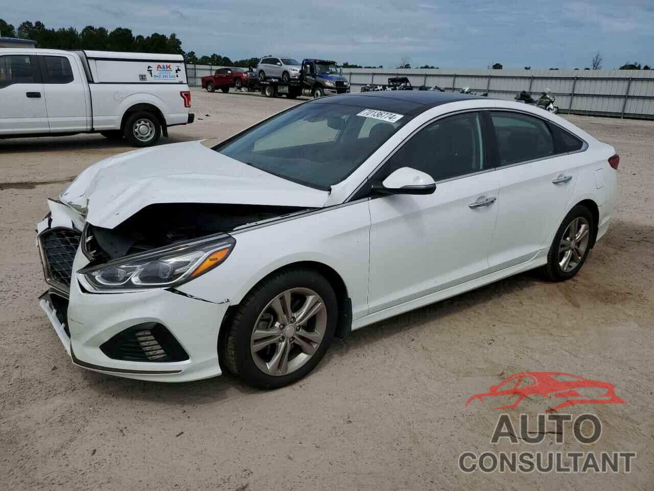 HYUNDAI SONATA 2019 - 5NPE34AF6KH736776