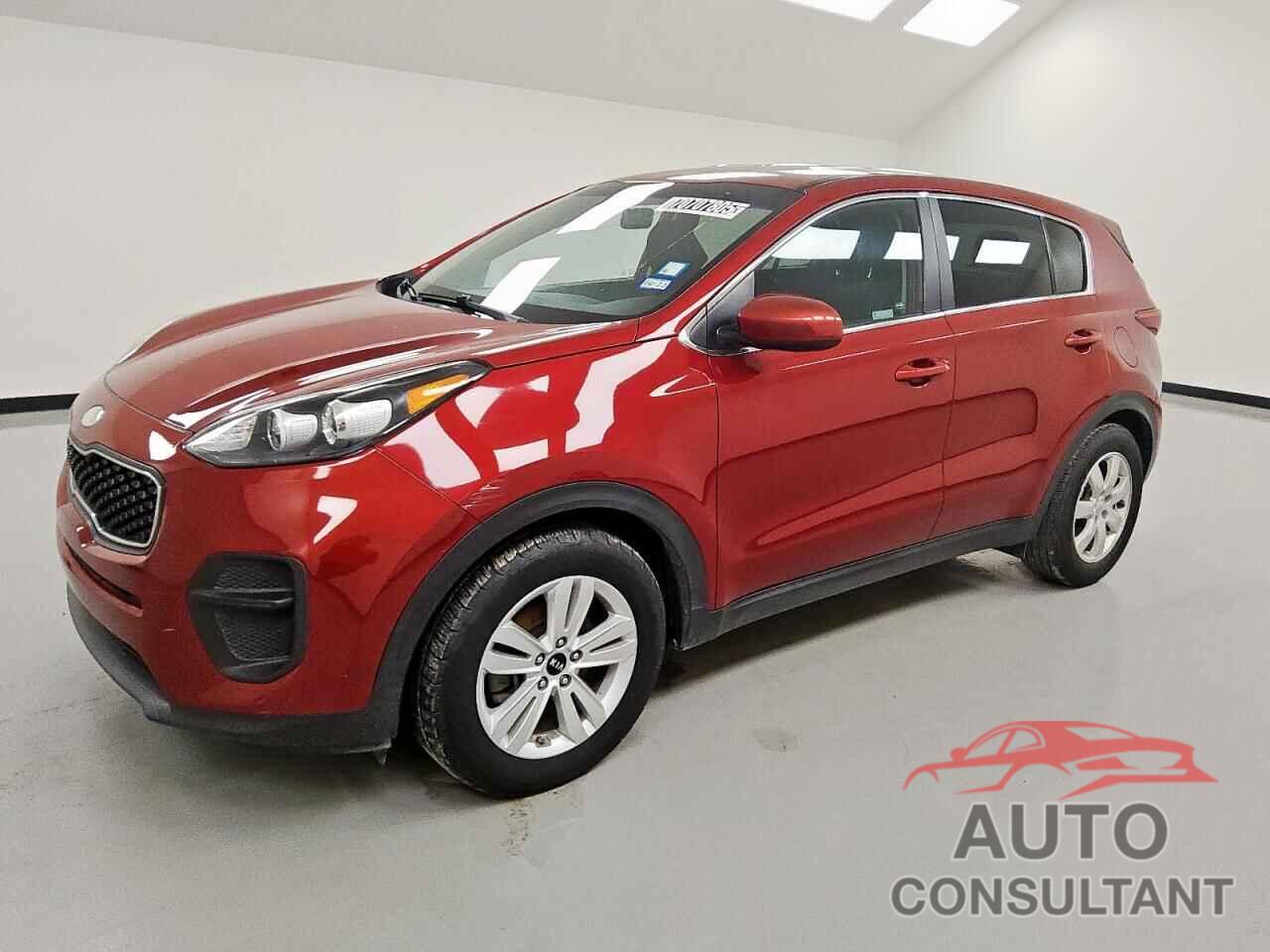 KIA SPORTAGE 2019 - KNDPM3AC7K7593265