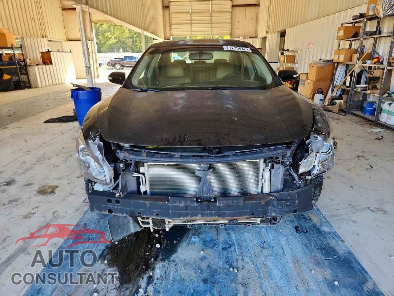 NISSAN MAXIMA 2011 - 1N4AA5AP2BC856286